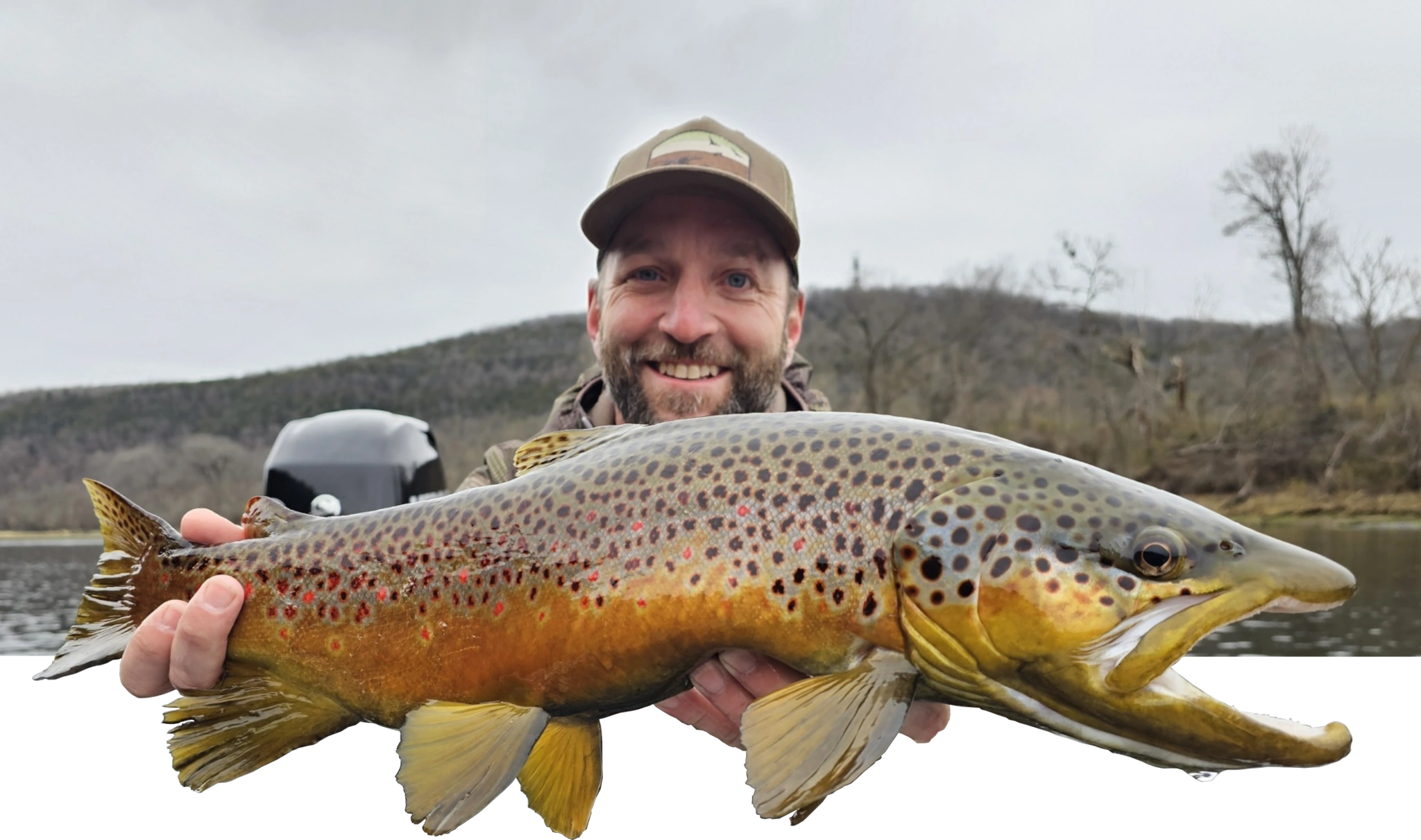 A beautiful Brown Trout from the White River.