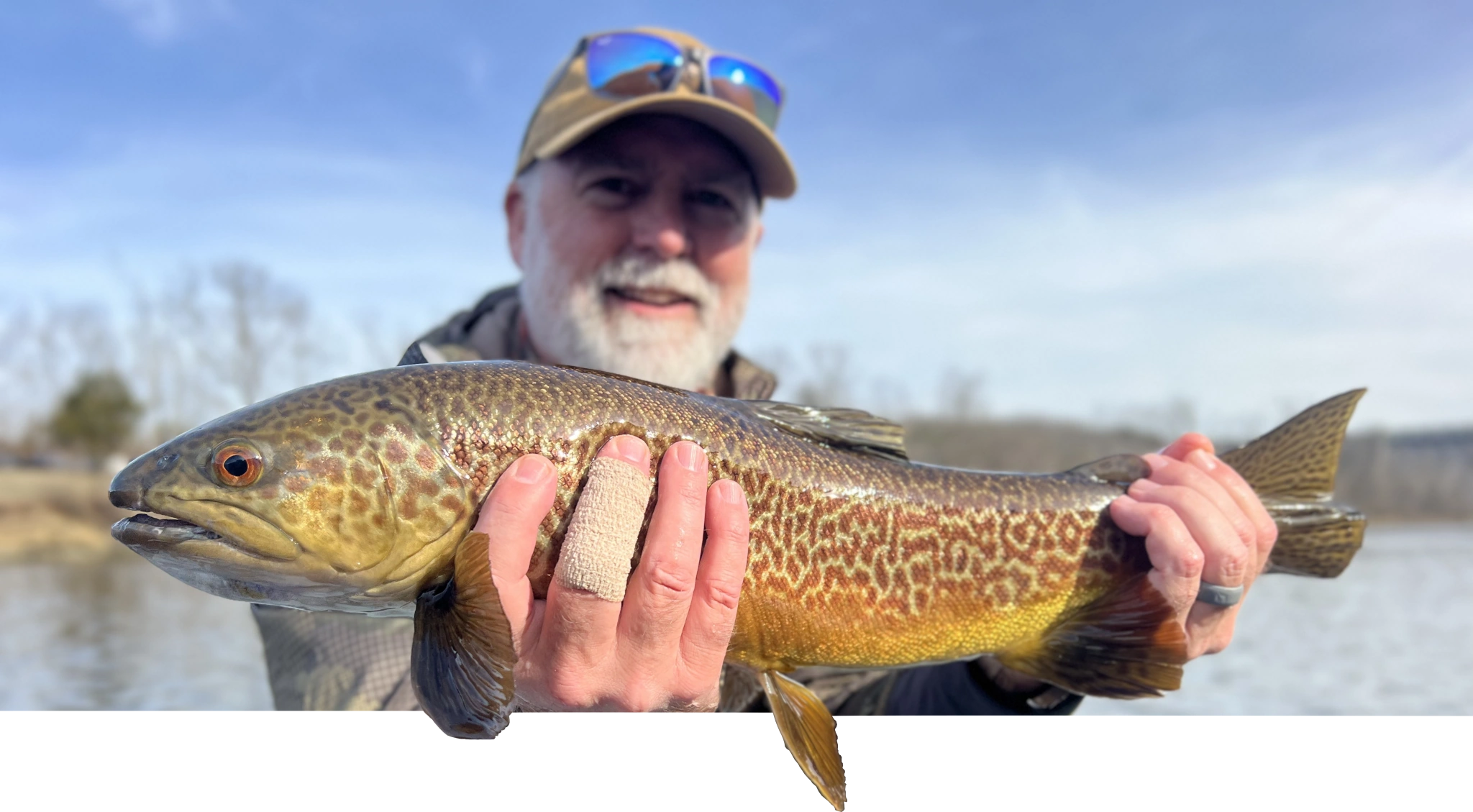 White River Fly angler holding a Tiger Trout below the Bull Shoals Dam in Arkansas.