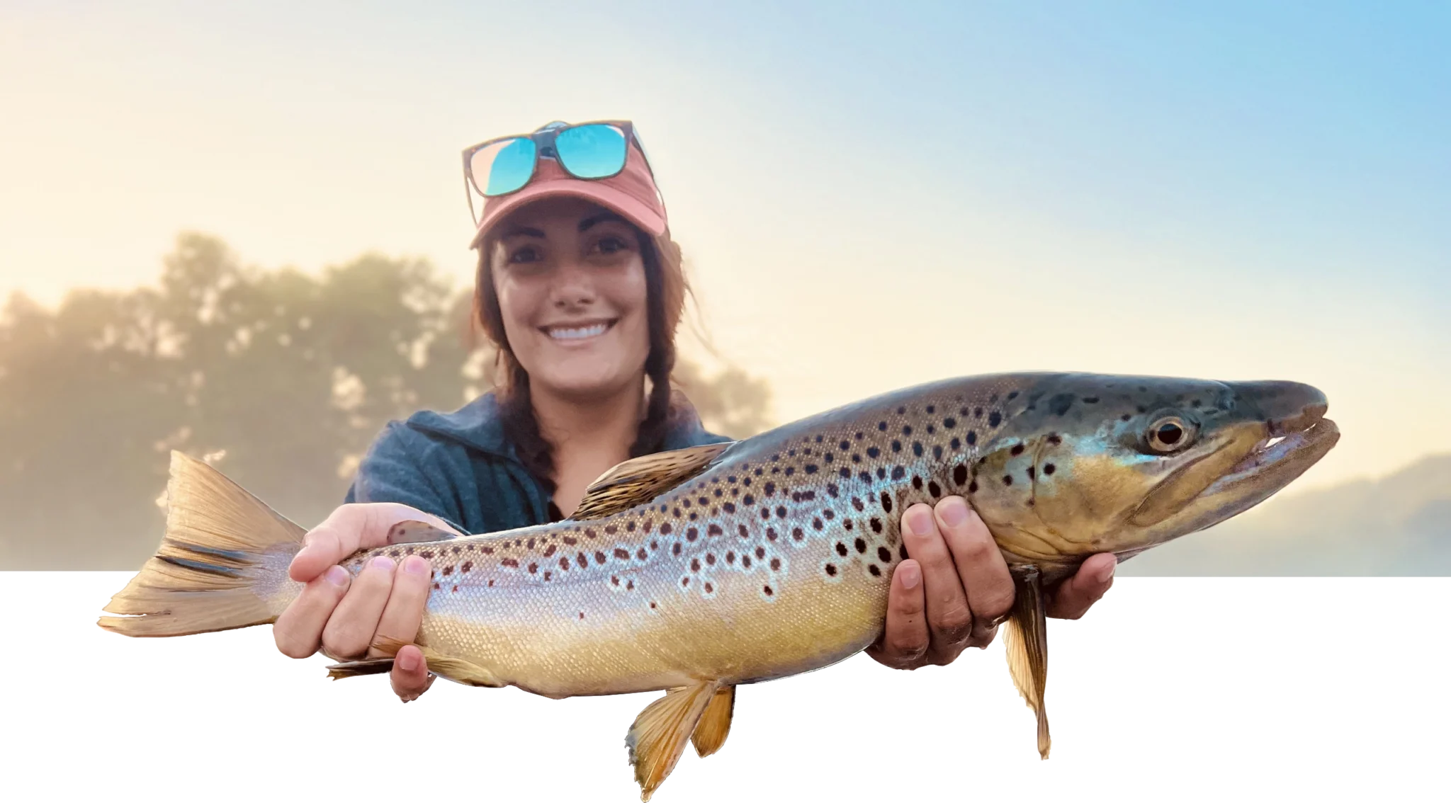 Female fly fisherman holding a large White River Brown Trout in the golden hour.